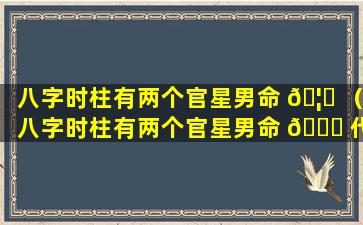 八字时柱有两个官星男命 🦋 （八字时柱有两个官星男命 🐞 代表什么）